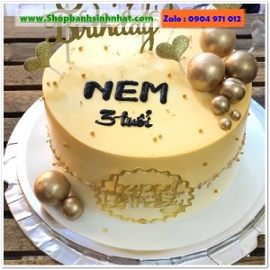 Bánh Sinh Nhật Đẹp - TK385